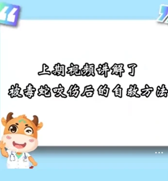 毒蛇咬伤自救别踩坑！这些错误操作可....