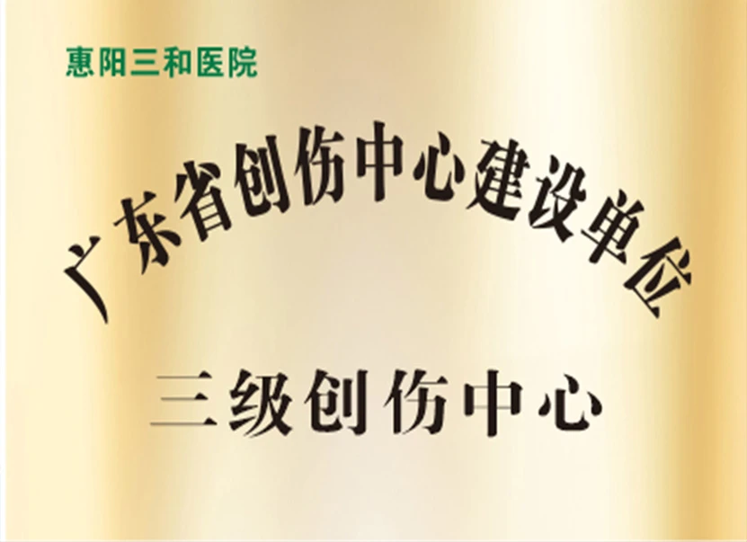 广东省创伤中心建设单位（三级）